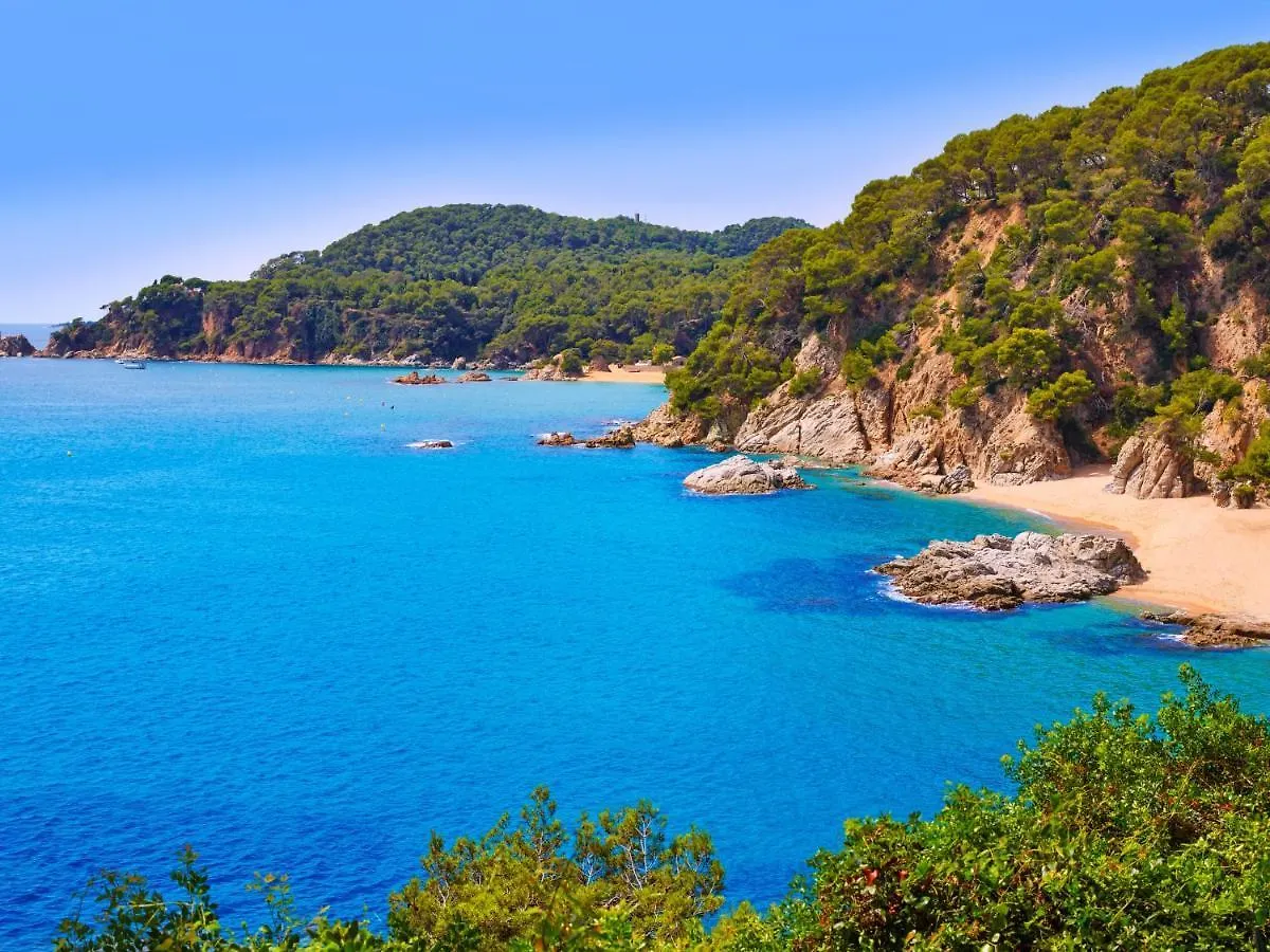 Apartment Caravela Beach By Interhome Lloret de Mar